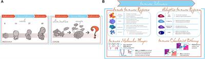 Endometrial Cancer Immune Escape Mechanisms: Let Us Learn From the Fetal–Maternal Interface